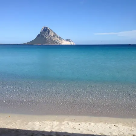 Bilocale Le Ginestre Vaccileddi